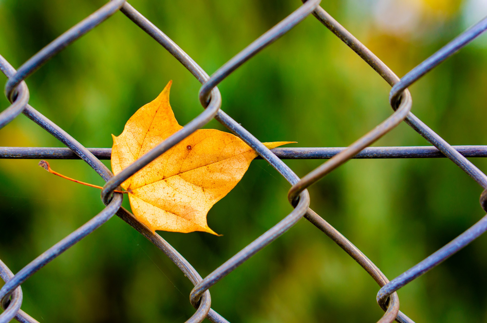 Understanding Your Options for Commercial Fencing in Jacksonville, FL