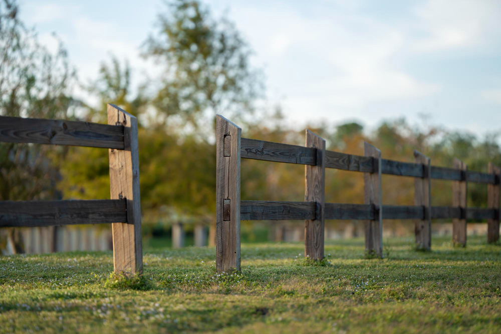 Everything You Need to Know About Ranch & Paddock Fencing