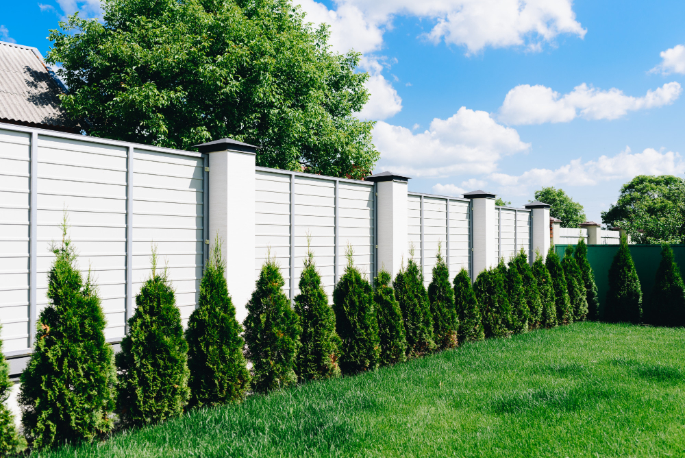 Fencing Options for Your Home