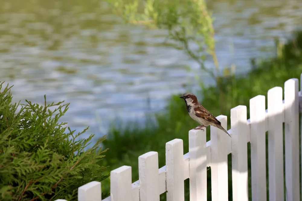 How Jacksonville Weather Impacts Your Fence