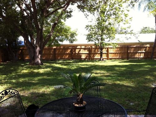 Backyard with wood fence